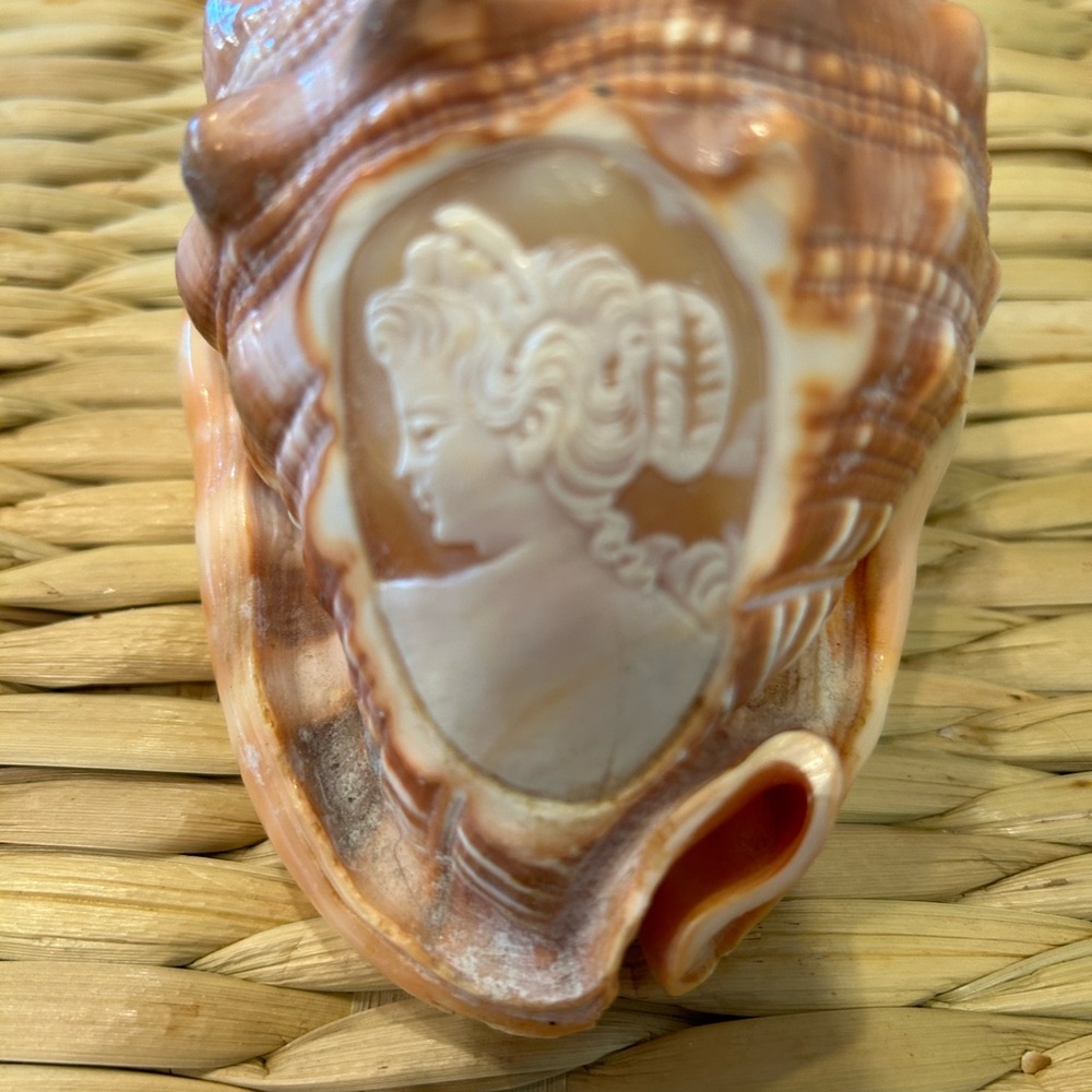 Vintage cameo shell